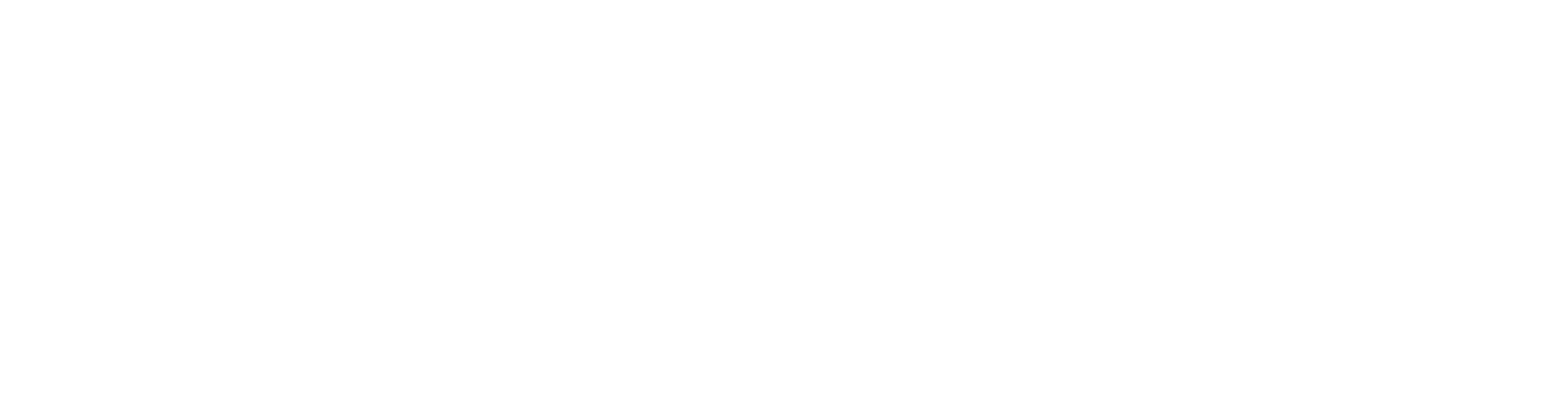 LOGO HORIZONTAL-02