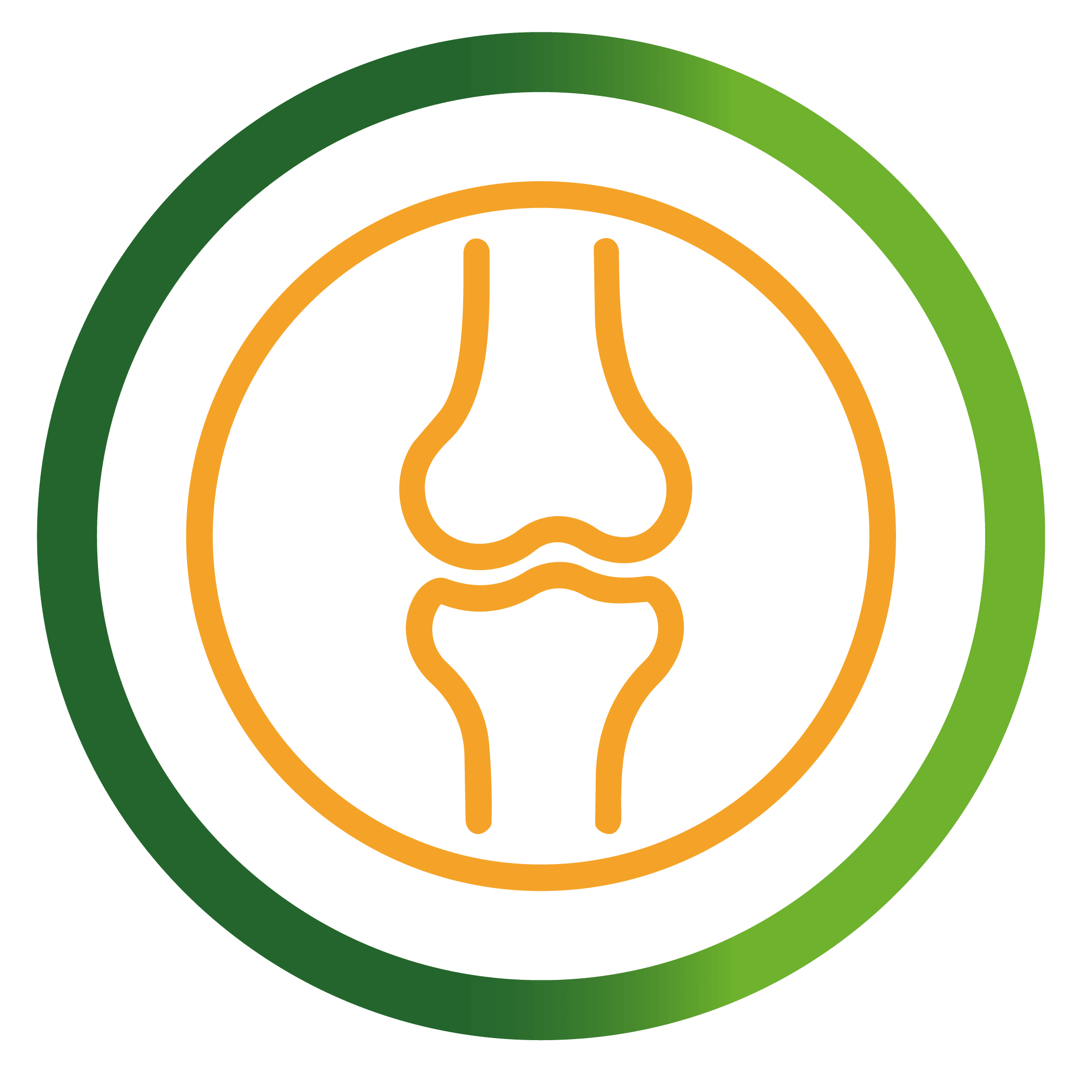 Consulta Ortopedia